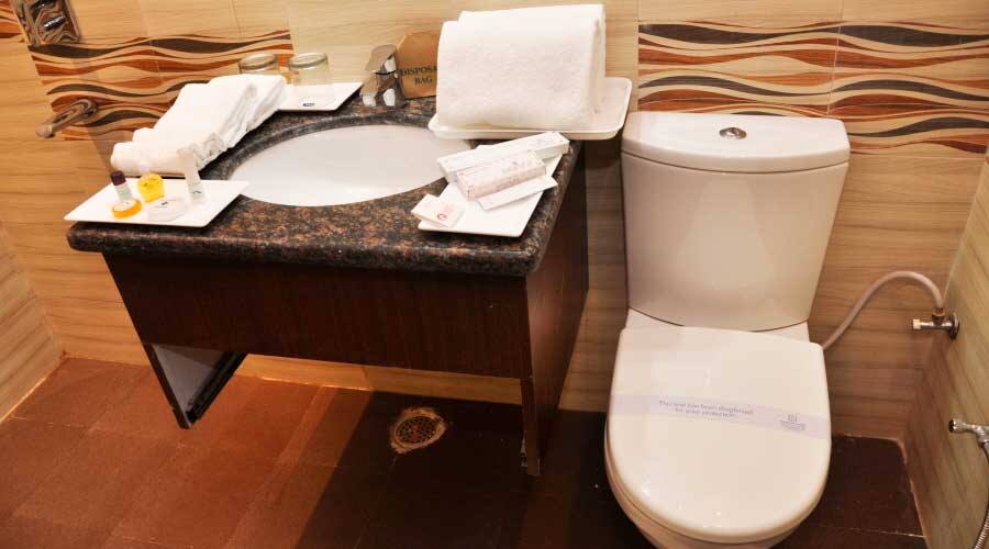 Sailani Resorts & Palace, Rajgarh - Sirmaur 3
